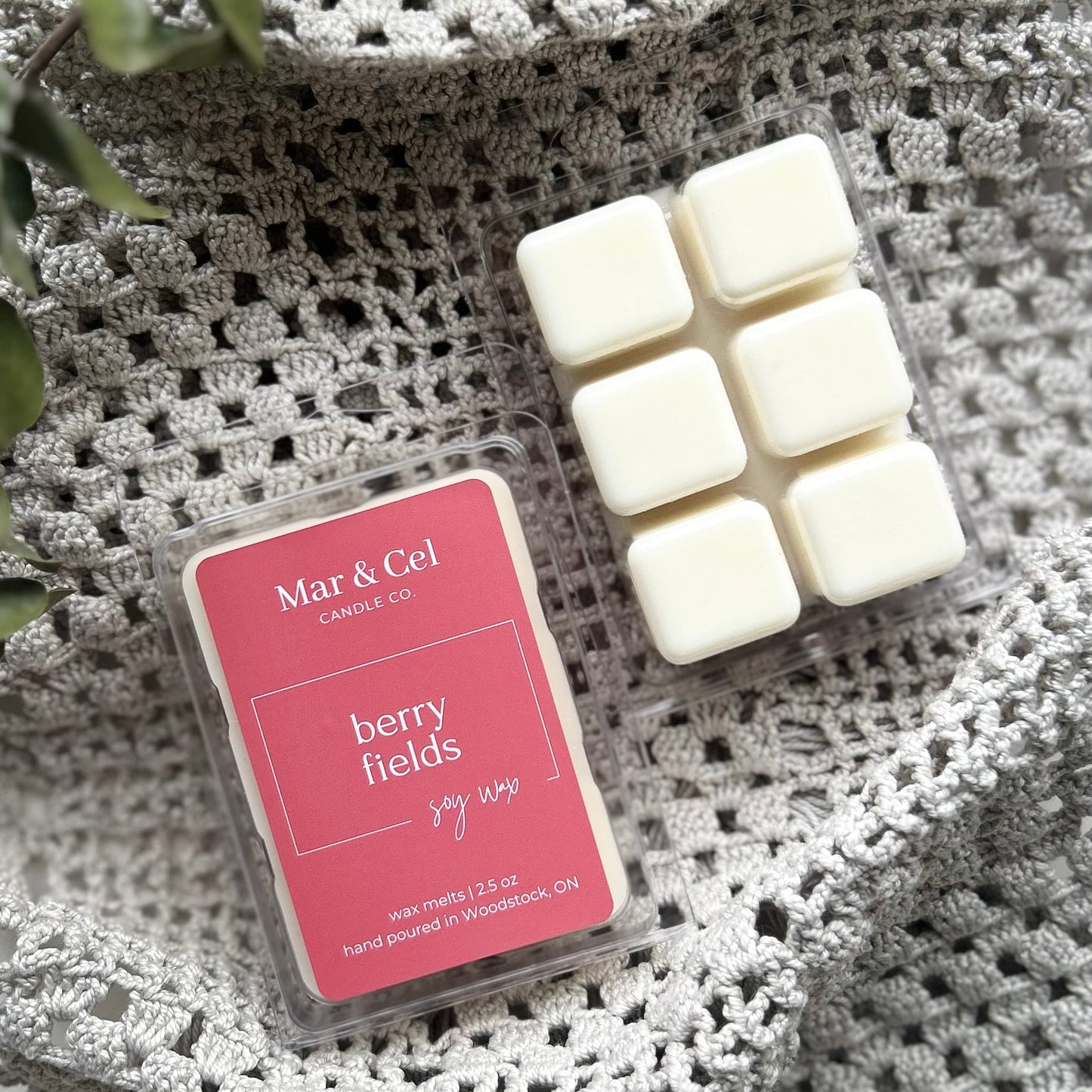 Berry Fields Wax Melt