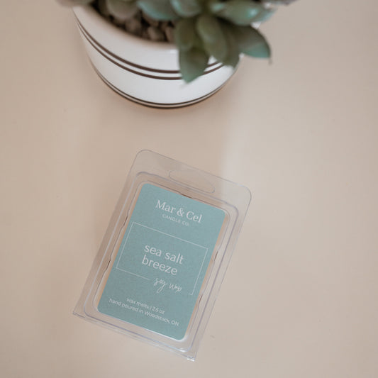 Sea Salt Breeze Soy Wax Melt